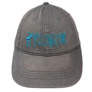 Ace USA Baseball Cap Gray One Size Yellowstone National Park Moose Blue Logo Hat